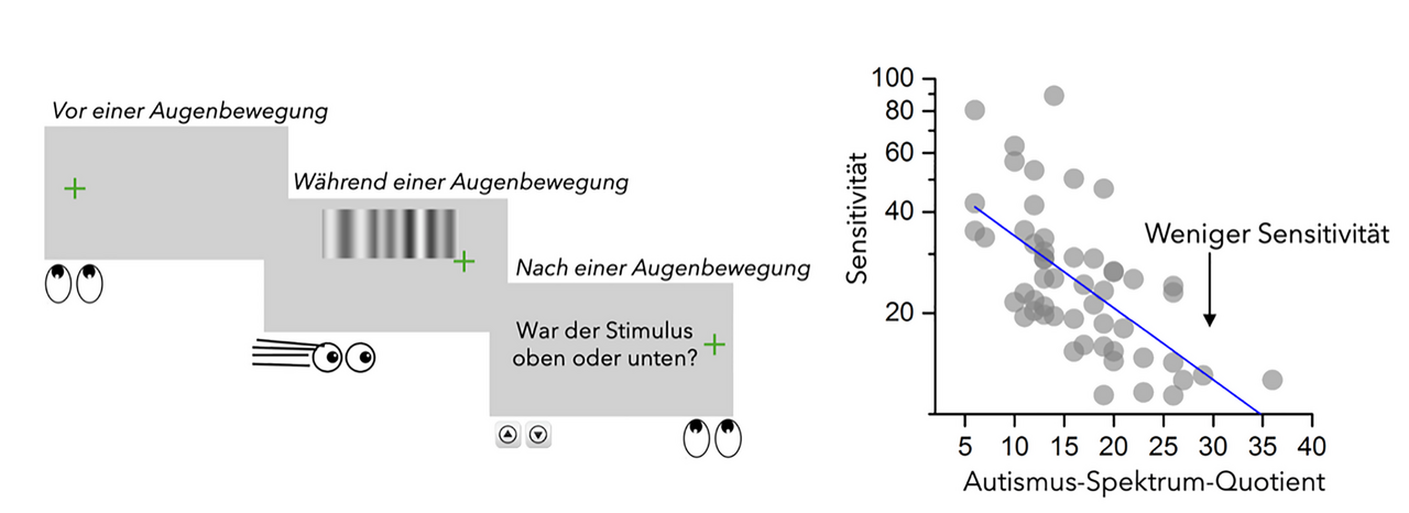 Grafische Darstellung des Versuchsaufbaus für die Probanden und Auswertung der Augenbewegung abhängig von Grad des Autismus bei den Patienten.