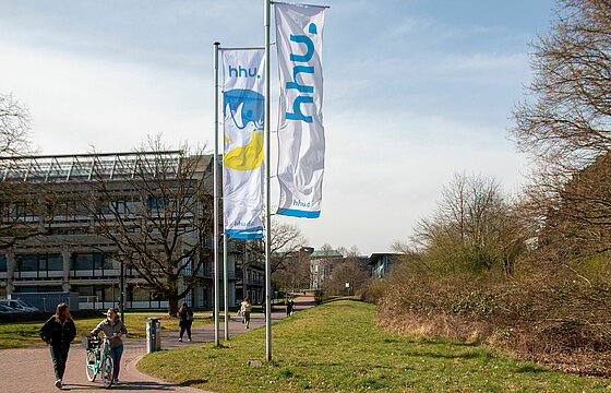 Flags in the national colours of Ukraine on the HHU campus