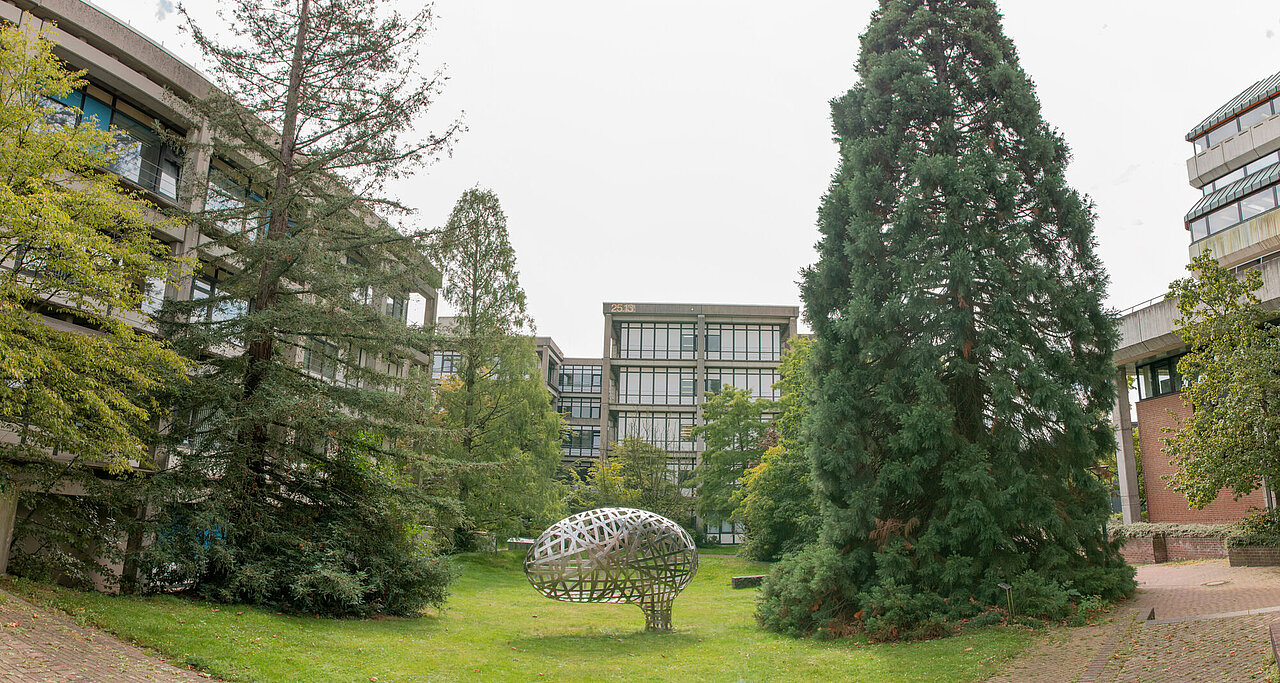 Blick auf de Baumriesen am Campus