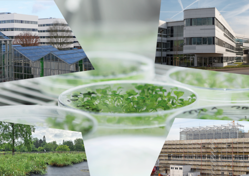 HHU-Campus-Fotomontage im Prisma: Pflanzen, Forschungsgebäude, Ausschnitt Botanischer Garten