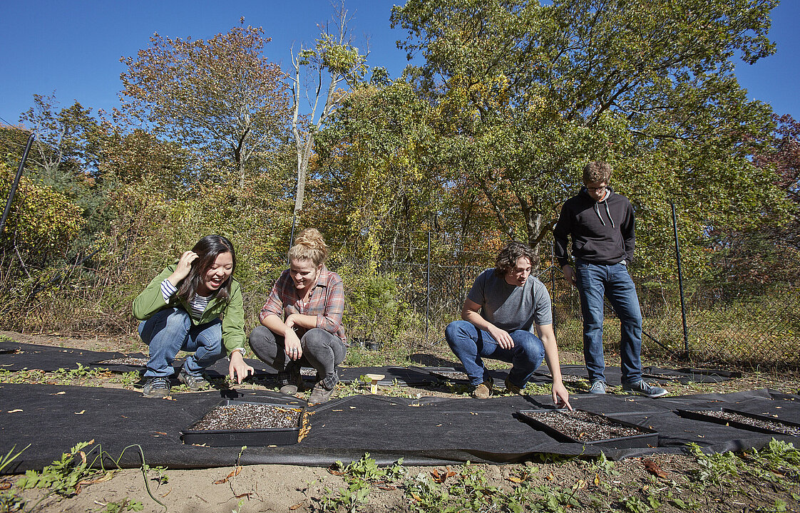 Vier Personen, drei davon knieend, hinter mehreren Pflanzschalen. Im Hintergrund Bäume.
