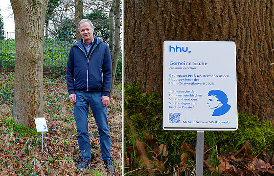 Zusammenstellung zweier Bilder; links Prof. Aberle neben der Esche, rechts das Baumpatenschild.
