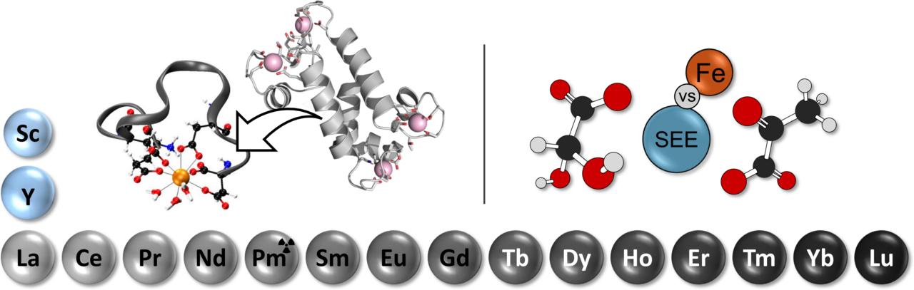 Unten und links umranden die Symbole für die Seltenerdmetalle die schematischen Darstellung der Forschungsthemen der beiden Veröffentlichungen