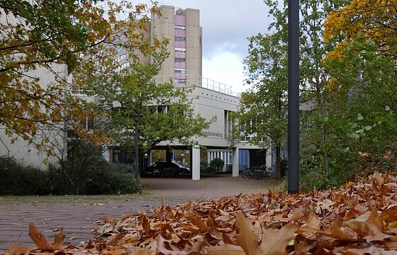 Laub am Campus, im Hintergrund ein Gebäude