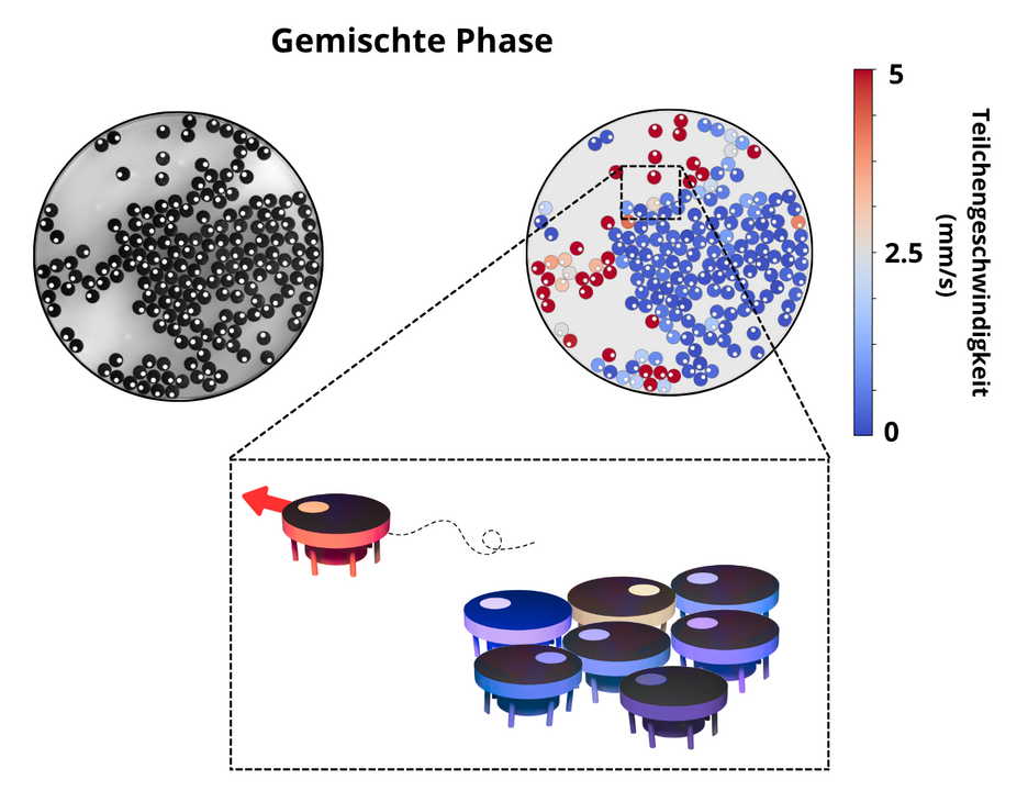 Draufsicht der Mikroroboter (links), Bewegungsanalyse (rechts) und Detailskizze der Mikroroboter (unten).
