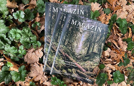 Drei Magazine der HHU ausgebreitet im Laub