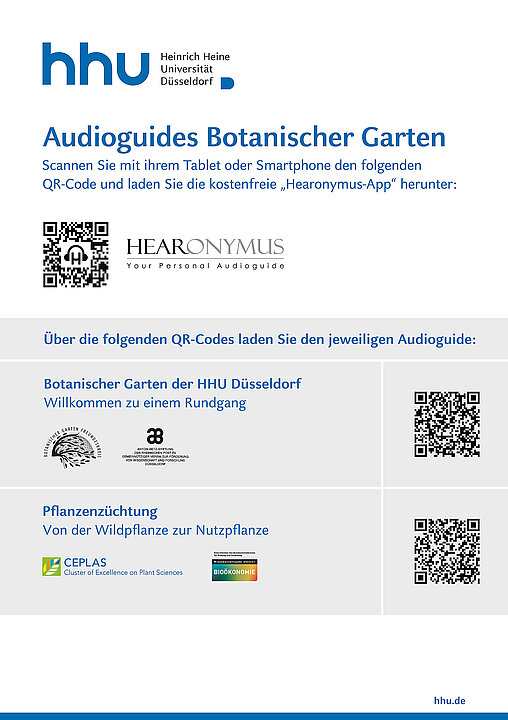 Zwei Audioguides sind verfügbar: Einer allgemein zum Botanischen Garten, ein zweiter zum Thema Pflanzenzüchtung vom Exzellenzcluster CEPLAS.
