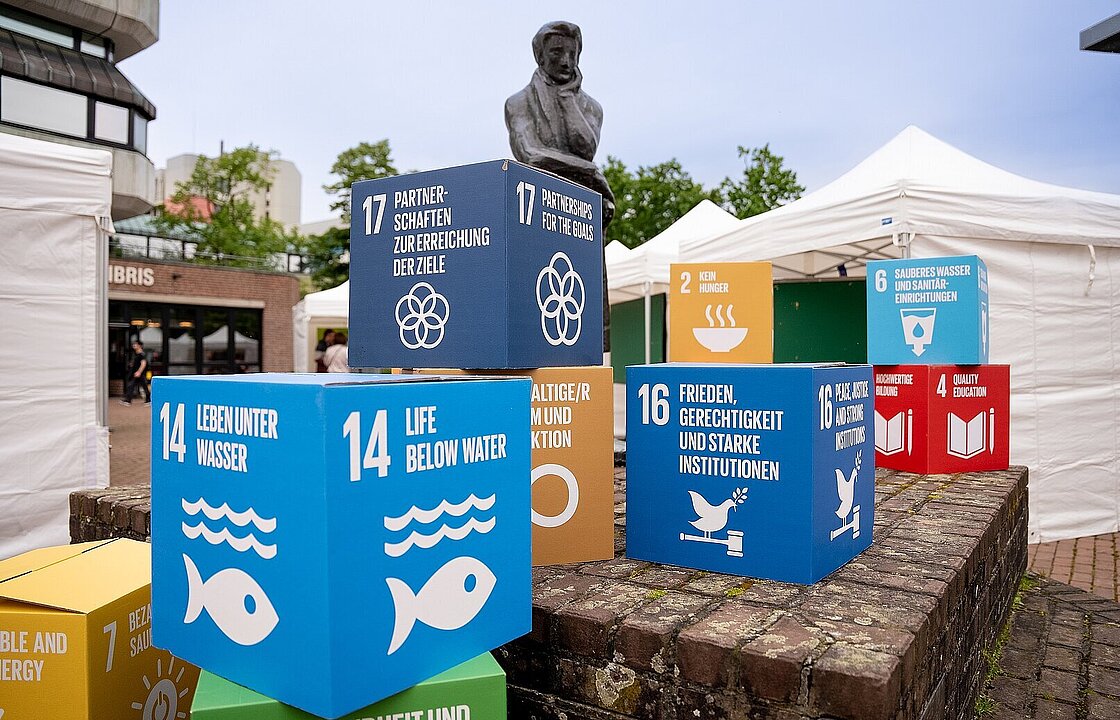 Bunte Würfel mit den Zielen für nachhaltige Entwicklung vor der Heine-Statue