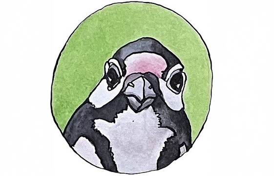 Der gemalte Kopf eines Spechtes blickt in die Richtung des Betrachtenden.