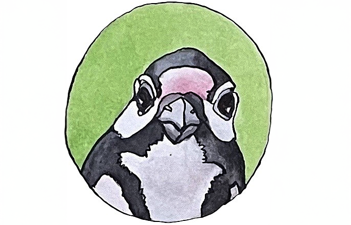 Der gemalte Kopf eines Spechtes blickt in die Richtung des Betrachtenden.