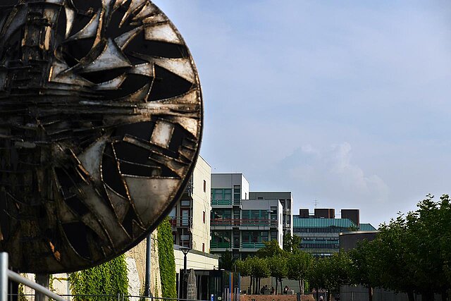 Friedrich Werthmann, Endiadioin, 1972