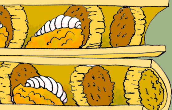 Zeichnung der Röhrchen in einem Bienenhotel