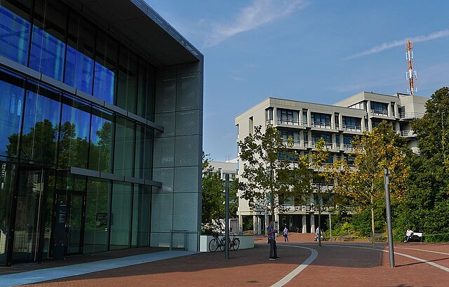 oeconomicum Neubau versus serielle Systembauten