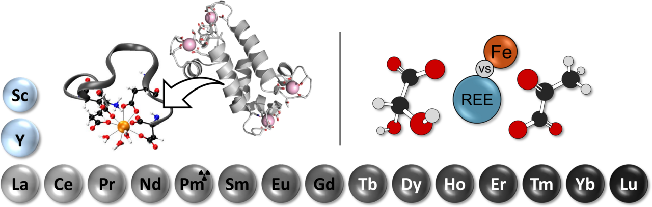 At the bottom and on the left, the symbols for rare earth metals frame the schematic representation of the research topics covered in the two publications.
