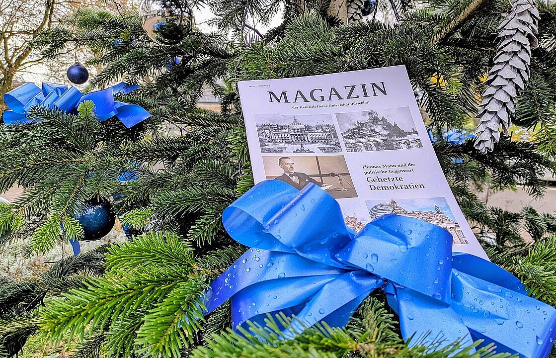 Ein gedrucktes Magazin liegt auf den Zweigen eines geschmückten Tannenbaumes.