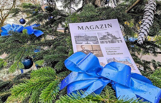 Ein gedrucktes Magazin liegt auf den Zweigen eines geschmückten Tannenbaumes.