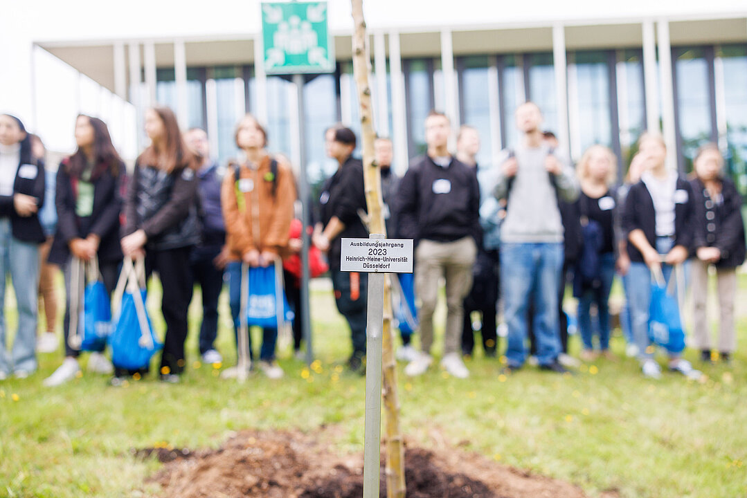 Plakette an einem neu gepflanzten Baum, Menschen im Hintergrund
