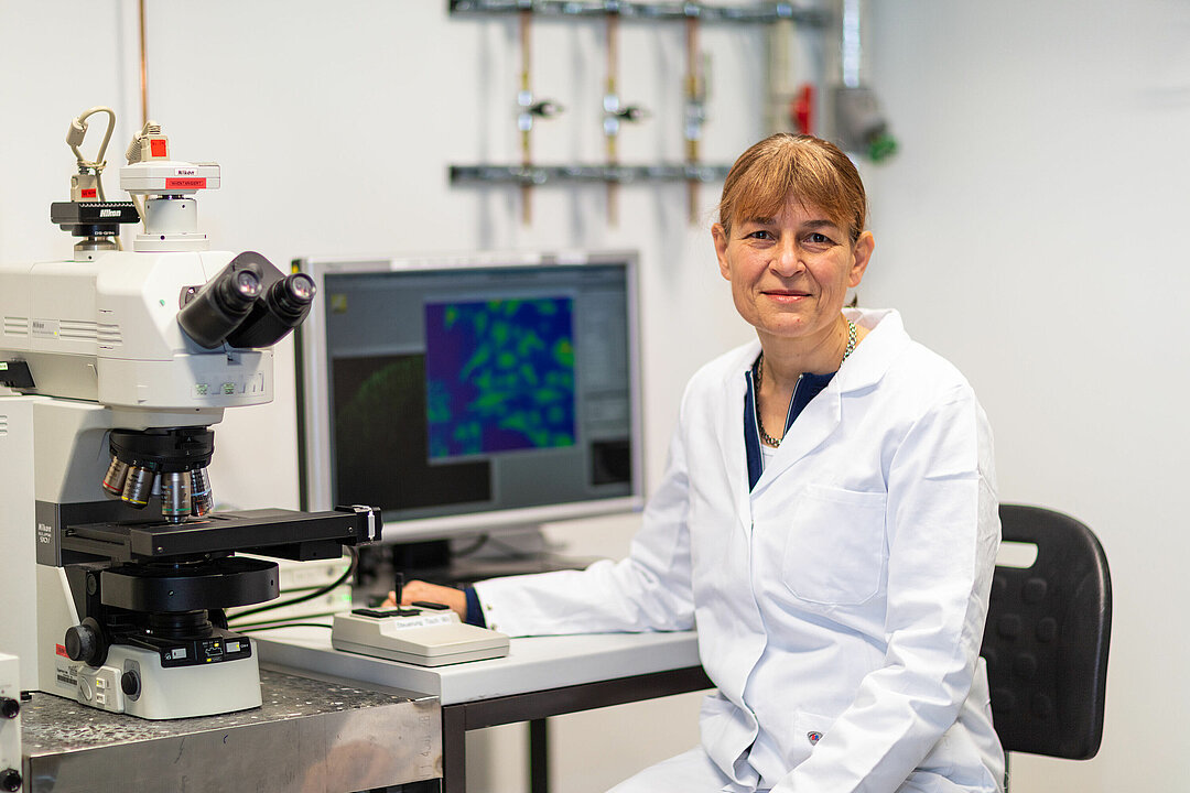 Prof. Dr. Christine Rose, Institut für Neurobiologie