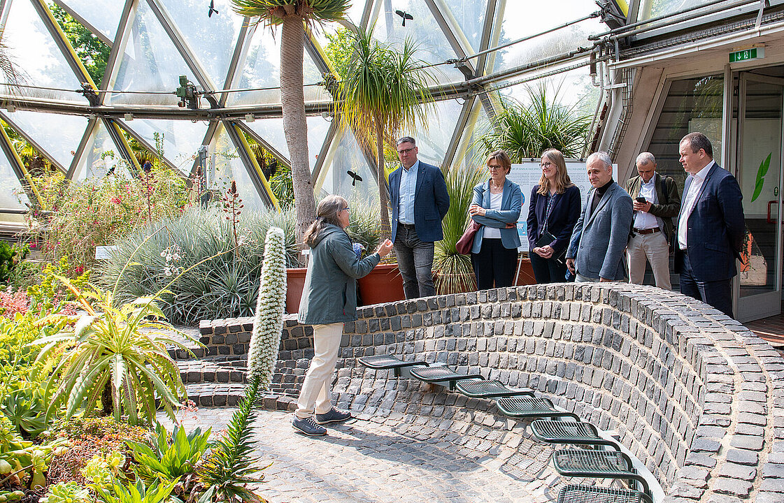 vergleiche Bildunterschrift