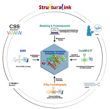 Schematische Struktur des Verbund: die teilnehmenden Institute sind außen an einem Kreis angeordnet, innen ist auf sechseckigem Grund ein Protein zu sehen.