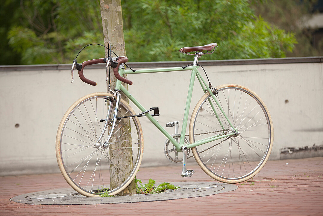 Grünes Rad lehnt an einem Baum