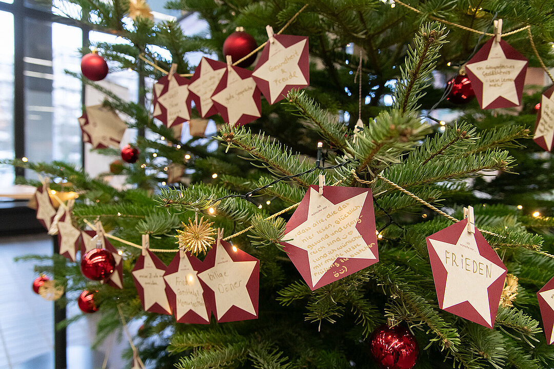 Beschriftete Sterne hängen in einem geschmückten Tannenbaum