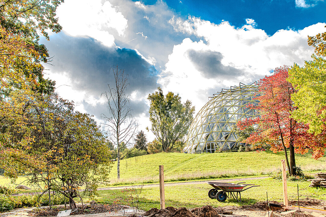 Blick auf das Kuppelgewächshaus von Norden her, mit herbstlichen Bäumen.