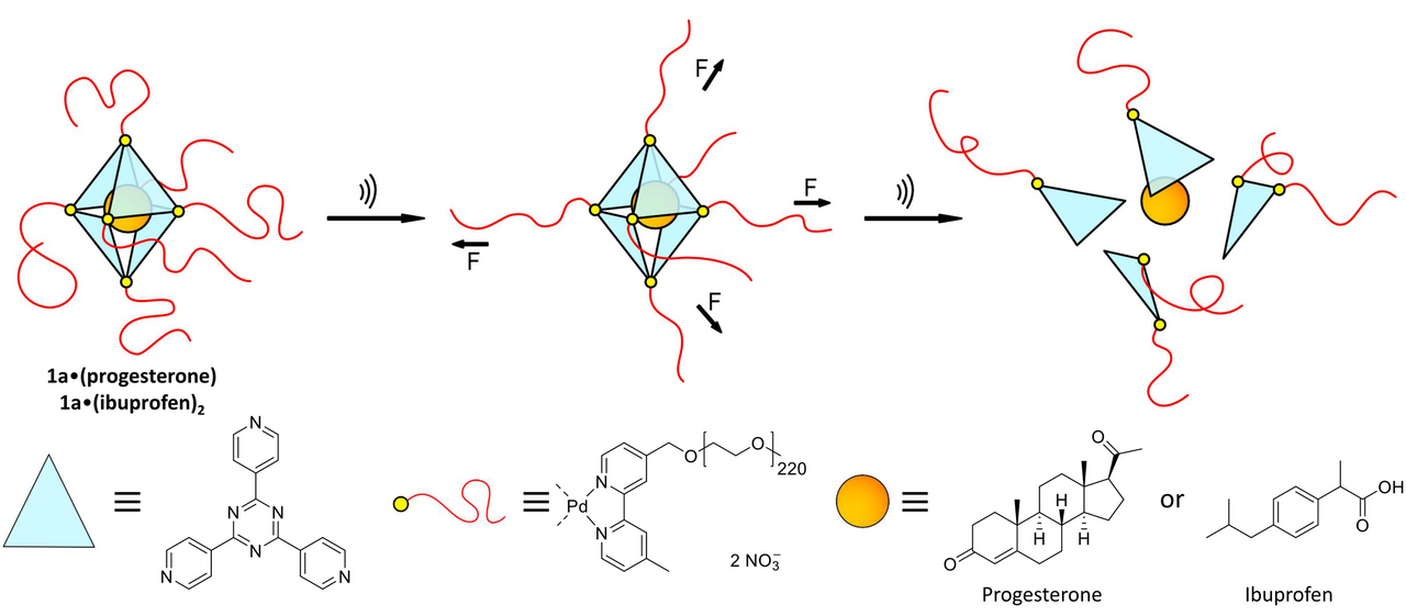 Isometrische und chemische Darstellung der Käfigmoleküle.