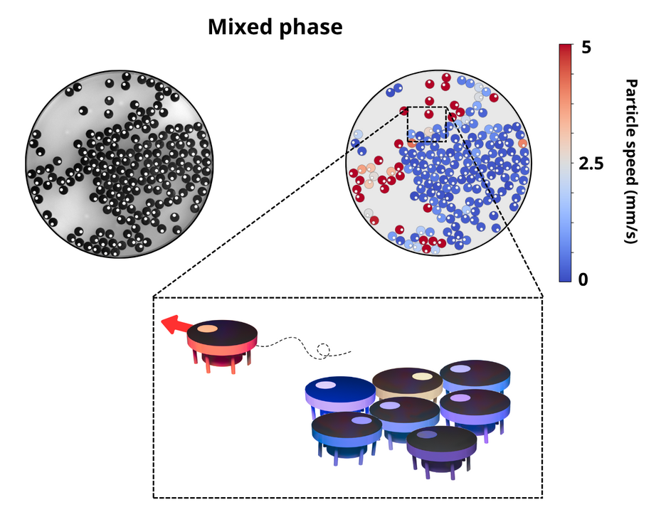Top view of the microrobots (left), motion analysis (right) and detailed sketch of the microrobots (below).