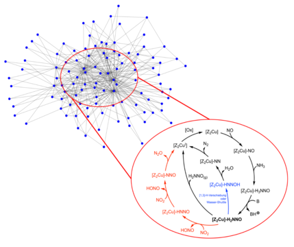 Grafische Darstellung von Reaktionsnetzwerkstrukturen bei der Selektiven Katalytischen Reduktion von Stickoxiden.