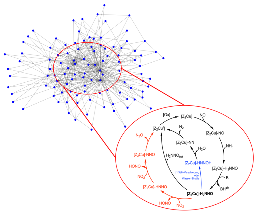 Grafische Darstellung von Reaktionsnetzwerkstrukturen bei der Selektiven Katalytischen Reduktion von Stickoxiden.
