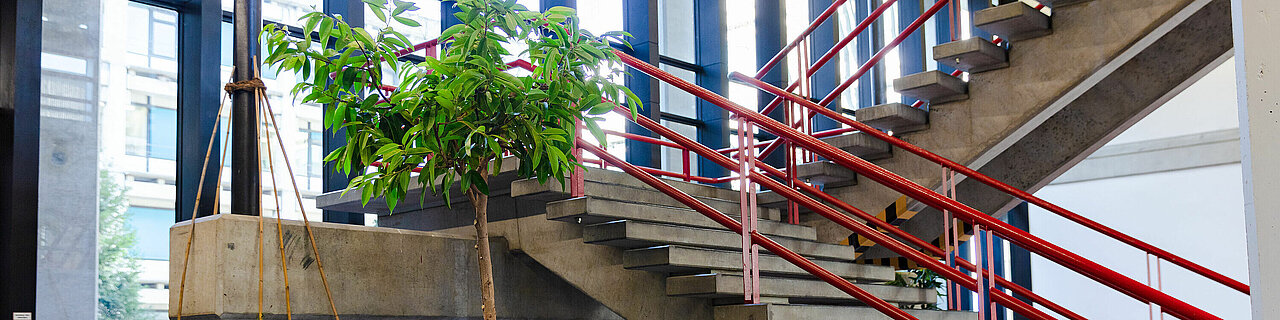 Ein Treppenaufgang in der HHU.