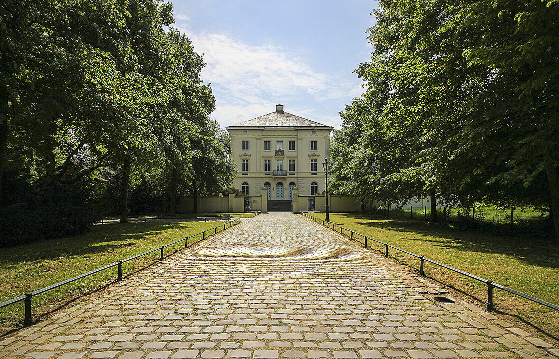 Blick auf Schloss Mickeln und auf seine Baumallee
